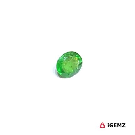 0.36 ct Green Garnet Tsavorite - iGemz30623