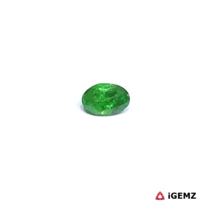 0.33 ct Green Garnet Tsavorite - iGemz30628