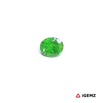 0.46 ct Green Garnet Tsavorite - iGemz30635
