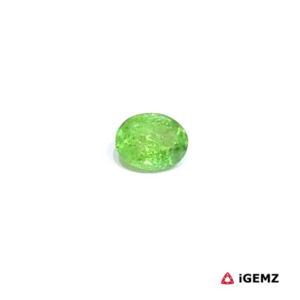 0.47 ct Green Garnet Tsavorite - iGemz30645