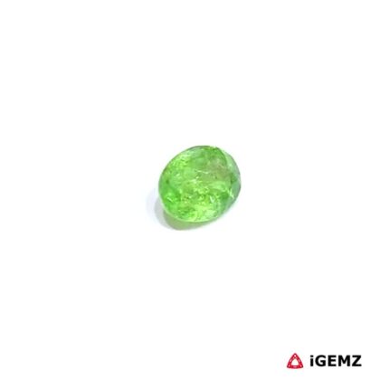 0.47 ct Green Garnet Tsavorite - iGemz30645