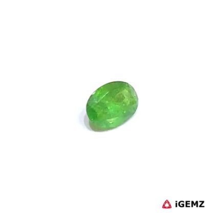 0.59 ct Green Garnet Tsavorite - iGemz30658