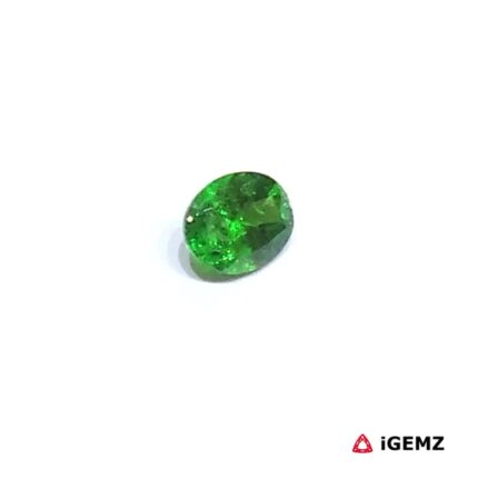 0.61 ct Green Garnet Tsavorite - iGemz30665