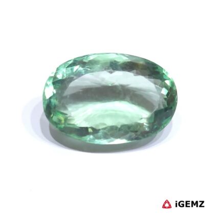 53.9 ct Green Fluorite - iGemz31437