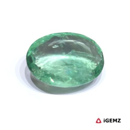 55.1 ct Green Fluorite - iGemz31444