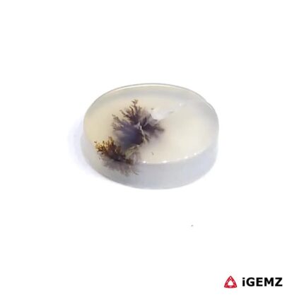 2 ct Brown Dendritic Agate - iGemz24459 gemstone for sale at igemz.co.za