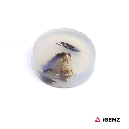 3.36 ct Brown Dendritic Agate - iGemz24460 gemstone for sale at igemz.co.za