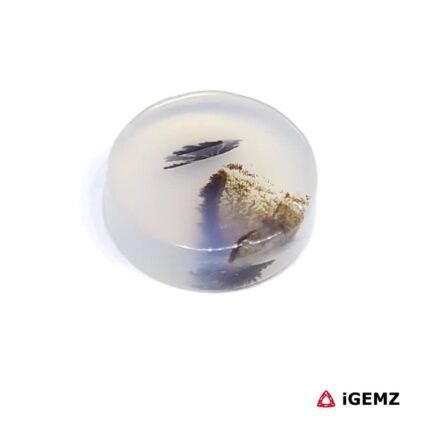 3.36 ct Brown Dendritic Agate - iGemz24460 gemstone for sale at igemz.co.za