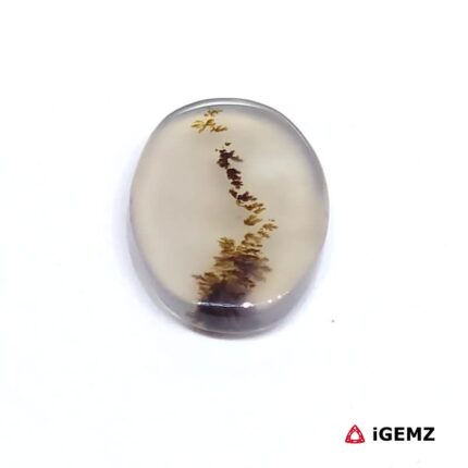 2.47 ct Brown Dendritic Agate - iGemz24494 gemstone for sale at igemz.co.za