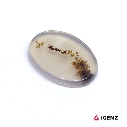 2.47 ct Brown Dendritic Agate - iGemz24494 gemstone for sale at igemz.co.za