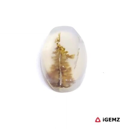 2.57 ct Brown Dendritic Agate - iGemz24593 gemstone for sale at igemz.co.za