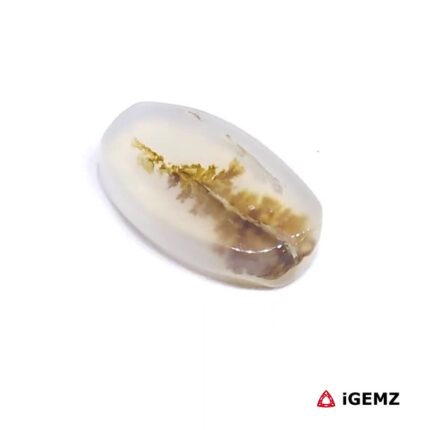2.57 ct Brown Dendritic Agate - iGemz24593 gemstone for sale at igemz.co.za