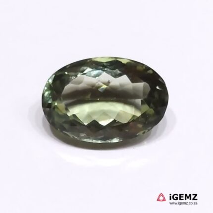 14.2 ct Green Prasiolite - iGemz24655
