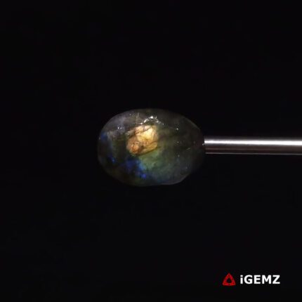 10.59 ct Blue Labradorite - iGemz27371 gemstone for sale at igemz.co.za
