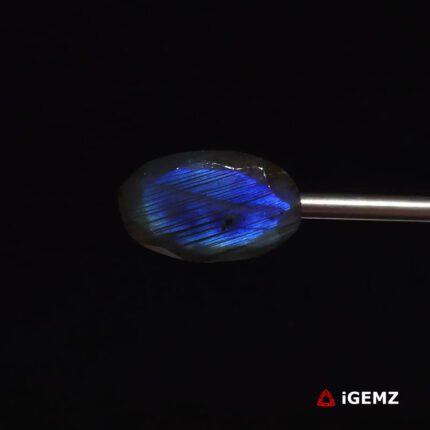 10.93 ct Blue Labradorite - iGemz27400 gemstone for sale at igemz.co.za