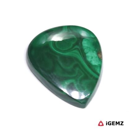 36 ct Green Malachite - iGemz29287 gemstone for sale at igemz.co.za