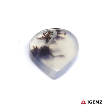 2.18 ct Brown Dendritic Agate - iGemz24462 gemstone for sale at igemz.co.za