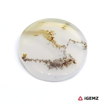 4.21 ct Brown Dendritic Agate - iGemz24473 gemstone for sale at igemz.co.za