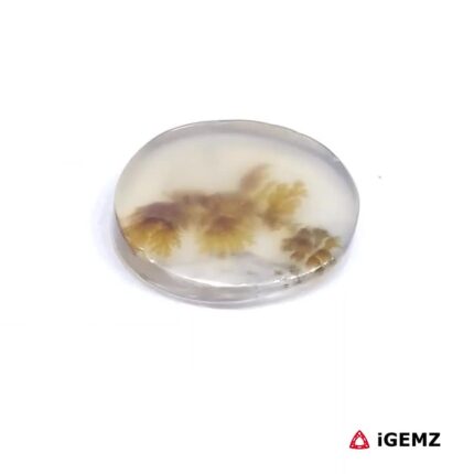 2 ct Brown Dendritic Agate - iGemz24474 gemstone for sale at igemz.co.za
