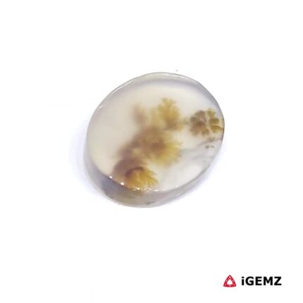 2 ct Brown Dendritic Agate - iGemz24474 gemstone for sale at igemz.co.za