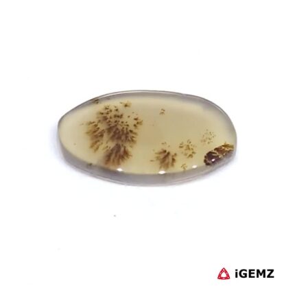 1.6 ct Brown Dendritic Agate - iGemz24476 gemstone for sale at igemz.co.za