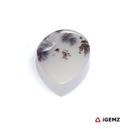 3.14 ct Brown Dendritic Agate - iGemz24477 gemstone for sale at igemz.co.za
