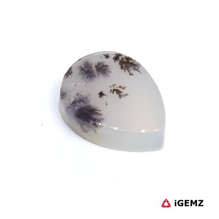 3.14 ct Brown Dendritic Agate - iGemz24477 gemstone for sale at igemz.co.za