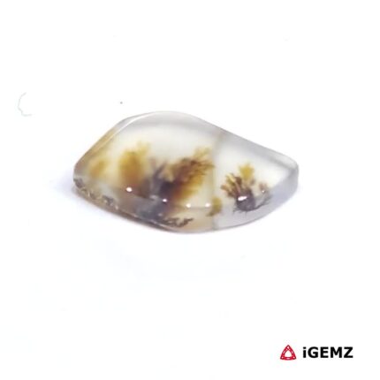 1.85 ct Brown Dendritic Agate - iGemz24481 gemstone for sale at igemz.co.za