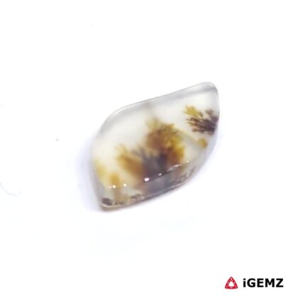 1.85 ct Brown Dendritic Agate - iGemz24481 gemstone for sale at igemz.co.za