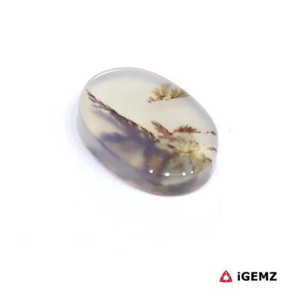 3.68 ct Brown Dendritic Agate - iGemz24484 gemstone for sale at igemz.co.za