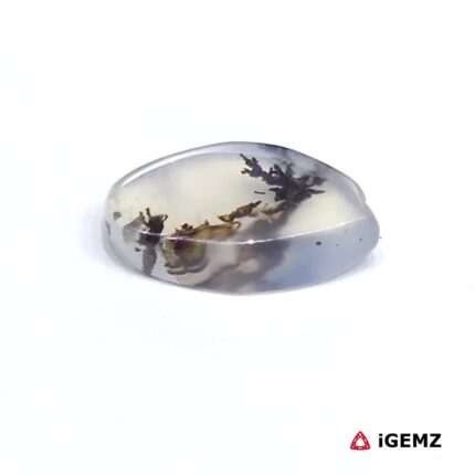 2.43 ct Black Dendritic Agate - iGemz24492 gemstone for sale at igemz.co.za
