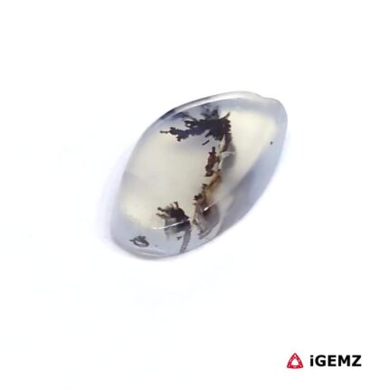 2.43 ct Black Dendritic Agate - iGemz24492 gemstone for sale at igemz.co.za