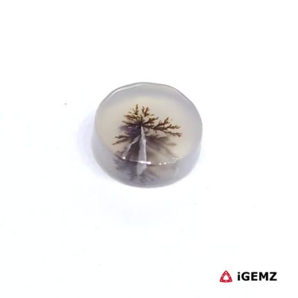 1.74 ct Brown Dendritic Agate - iGemz24493 gemstone for sale at igemz.co.za