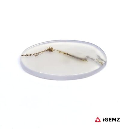 3.91 ct Brown Dendritic Agate - iGemz24495 gemstone for sale at igemz.co.za