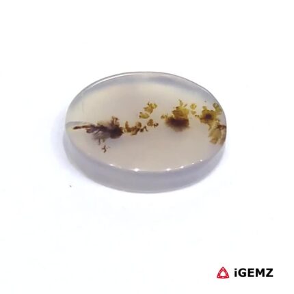 2.88 ct Brown Dendritic Agate - iGemz24498 gemstone for sale at igemz.co.za