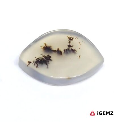 3.62 ct Brown Dendritic Agate - iGemz24504 gemstone for sale at igemz.co.za