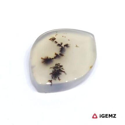 3.62 ct Brown Dendritic Agate - iGemz24504 gemstone for sale at igemz.co.za