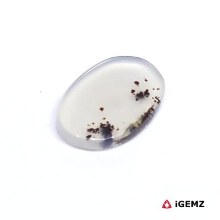 1.85 ct Brown Dendritic Agate - iGemz24513 gemstone for sale at igemz.co.za