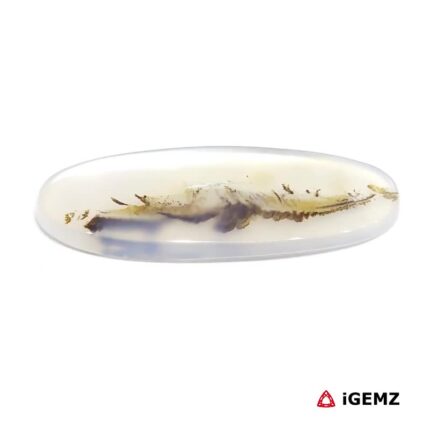 25.25 ct Brown Dendritic Agate - iGemz24530 gemstone for sale at igemz.co.za