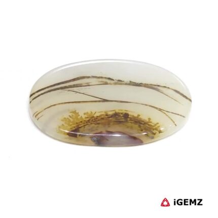 22 ct Brown Dendritic Agate - iGemz24533 gemstone for sale at igemz.co.za