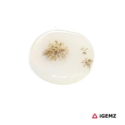 1.83 ct Brown Dendritic Agate - iGemz24536 gemstone for sale at igemz.co.za