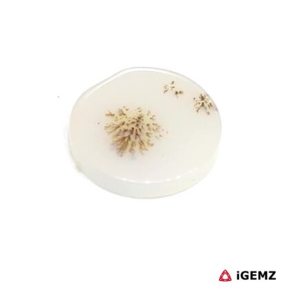 1.83 ct Brown Dendritic Agate - iGemz24536 gemstone for sale at igemz.co.za