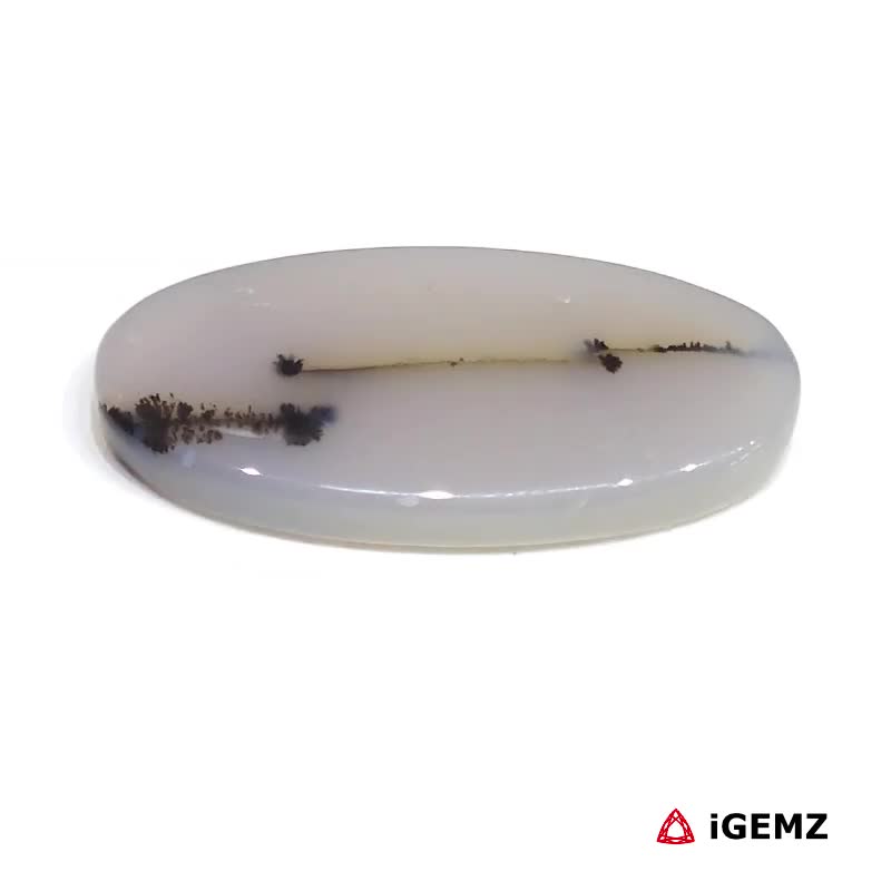 iGemz24549.1 13.14 ct Brown Dendritic Agate - iGemz24549 gemstone for sale at igemz.co.za