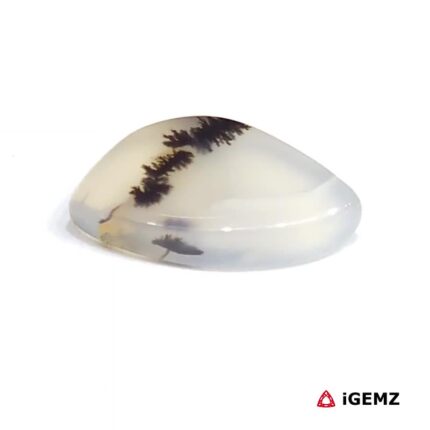 3.65 ct Brown Dendritic Agate - iGemz24552 gemstone for sale at igemz.co.za