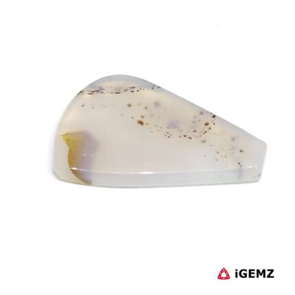 17.81 ct Brown Dendritic Agate - iGemz24555 gemstone for sale at igemz.co.za