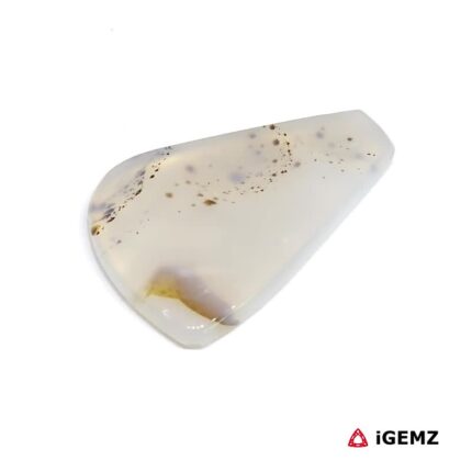 17.81 ct Brown Dendritic Agate - iGemz24555 gemstone for sale at igemz.co.za