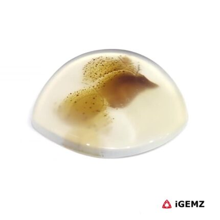 16.8 ct Brown Dendritic Agate - iGemz24567 gemstone for sale at igemz.co.za