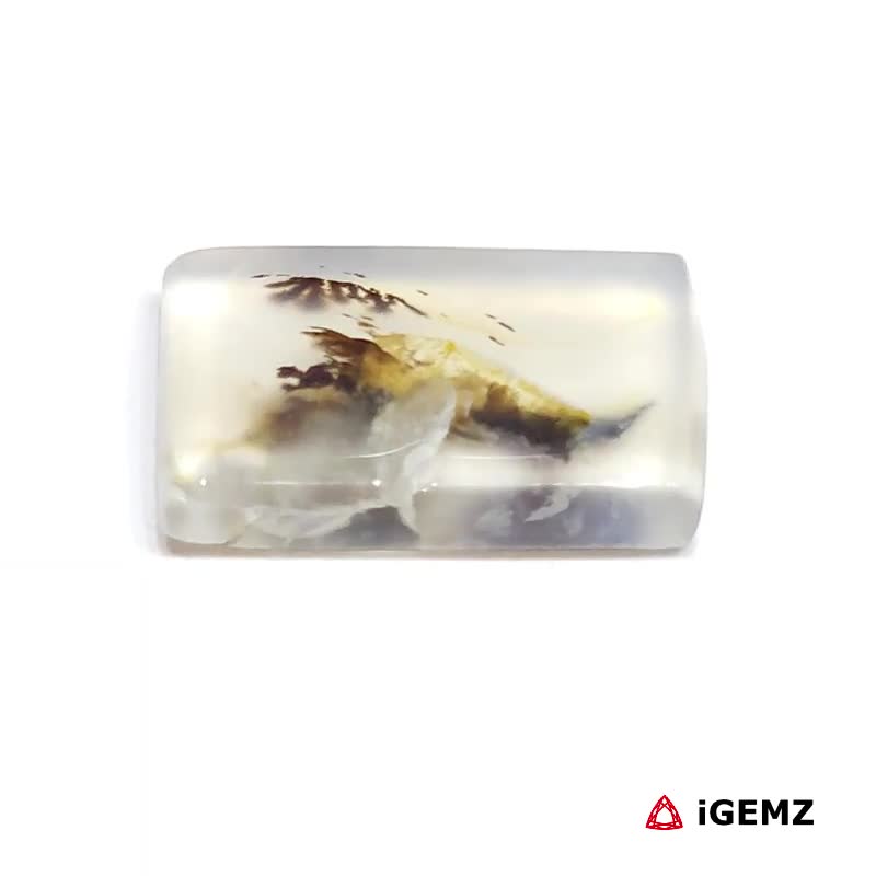 iGemz24568.1 7 ct Brown Dendritic Agate - iGemz24568 gemstone for sale at igemz.co.za