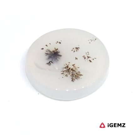 4.32 ct Brown Dendritic Agate - iGemz24573 gemstone for sale at igemz.co.za