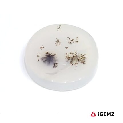 4.32 ct Brown Dendritic Agate - iGemz24573 gemstone for sale at igemz.co.za